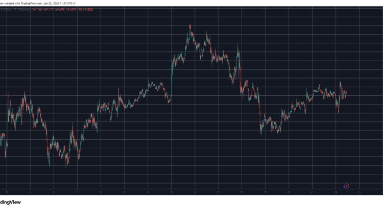 Altcoins Hold Their Poise While Bitcoin Guards The 64K Mark In DeFi Currents 🕸️🦇