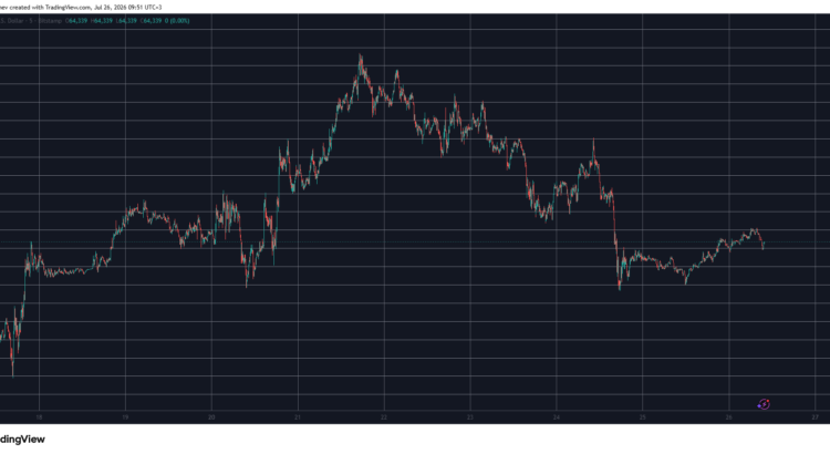 Meme Coins Snatch the Spotlight While Bitcoin Guards Its 64K Line: Weekend Watch 🕸️🦇