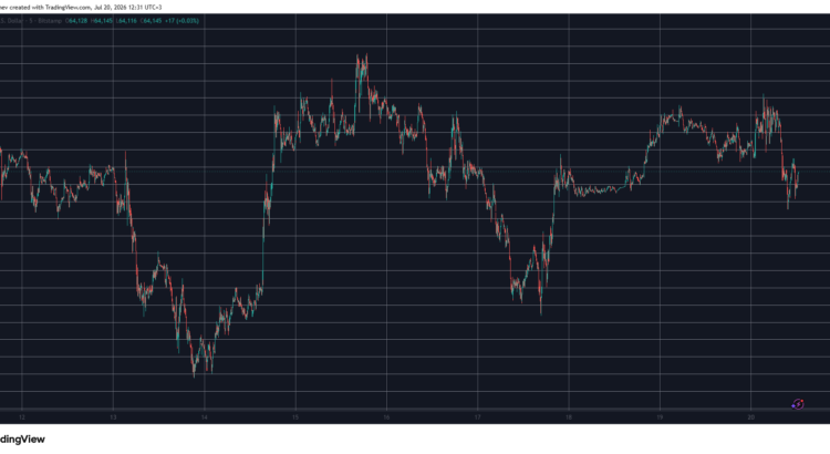 Pi Network's PI And PUMP Launch Daily Rockets While Bitcoin Fights For 64K Ground 🕷️🌑