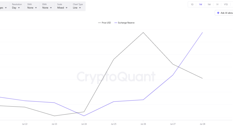 Shiba Inu (SHIB) Slips 20% From Its Recent Peak: Worth Snatching Some Up Now? 🕷️🖤