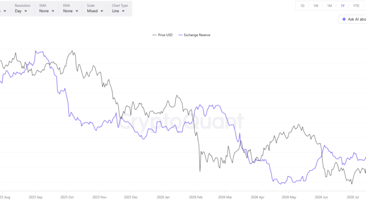 Three Enigmatic Whispers Suggesting Bitcoin's Rally 🖤 🪙