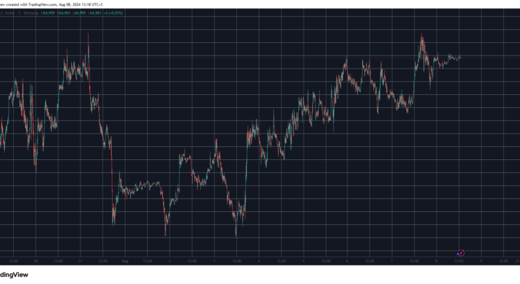 Pi Network’s PI Seizes Back Vital Support As BTC Struggles At 65K This Weekend 🖤🕸️
