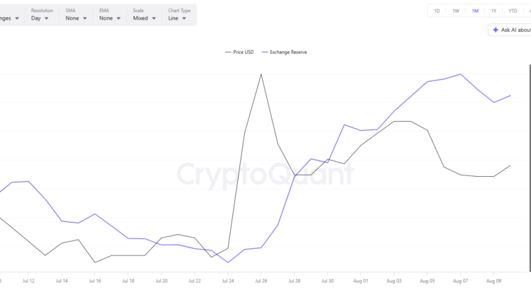 Shiba Inu Vital Pulse Climbs to Monthly Peak: Surge Brewing or Still Teasing? 🕸️🌑