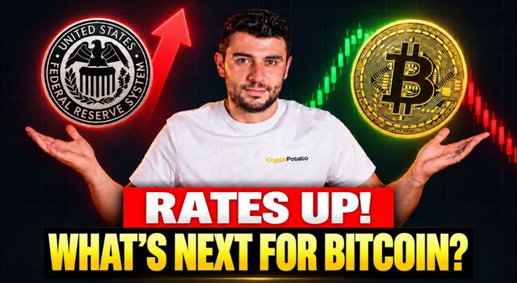 Altcoin Season Awakens as the Rally Breaks Free From Bitcoin's Grasp 🕷️🌑
