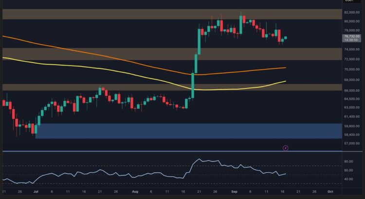 Bitcoin's Fate Whispers: Surging Past $80K Or Plunging Under $72K? 🕸️🦇