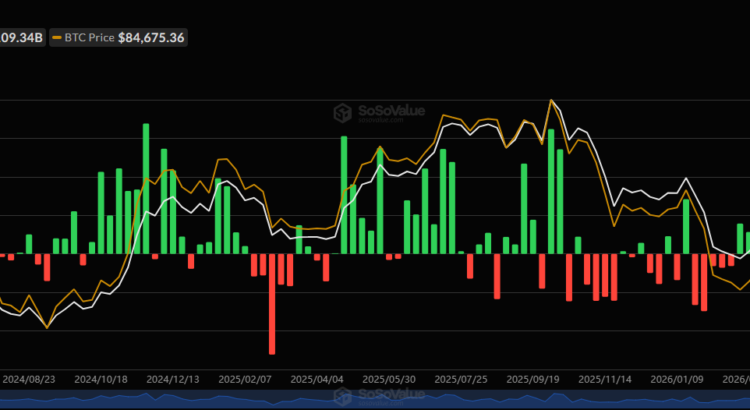 Bitcoin And Ethereum Etf Weekly Flows: The Wins The Dips And The Dark Twists 🖤🕸️