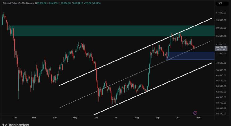 Bitcoin Teeters at 80K as Correction's Pull Grows Nearer 🦇🖤