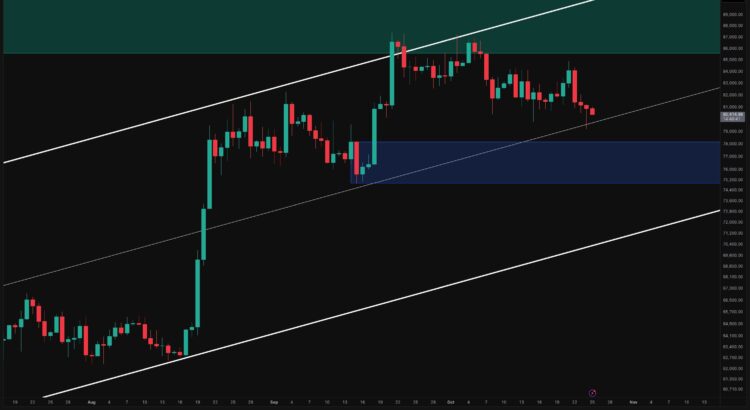 BTC's Likely Moves: What's Brewing for Next Week? 🦇🔮
